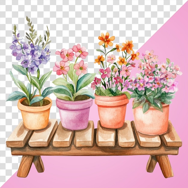 PNG Flower pots flowers art illustration