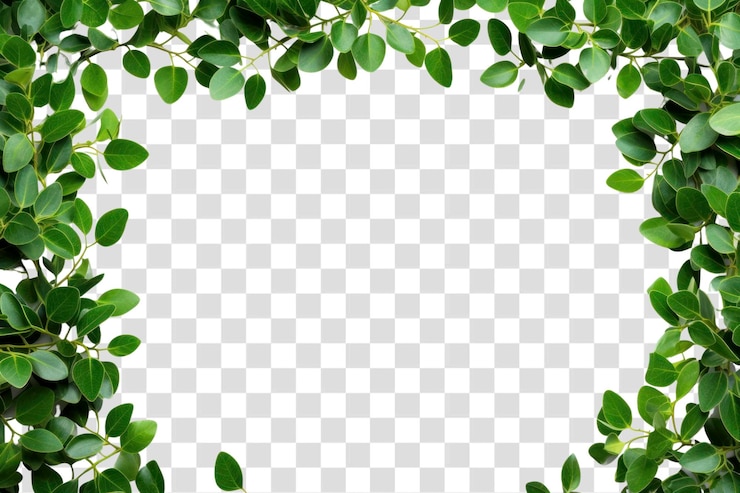 PSD png foglie verdi sfondo del telaio foglia di pianta ai generata immagine di rawpixel