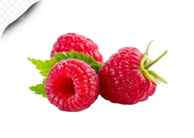 Png à La Framboise