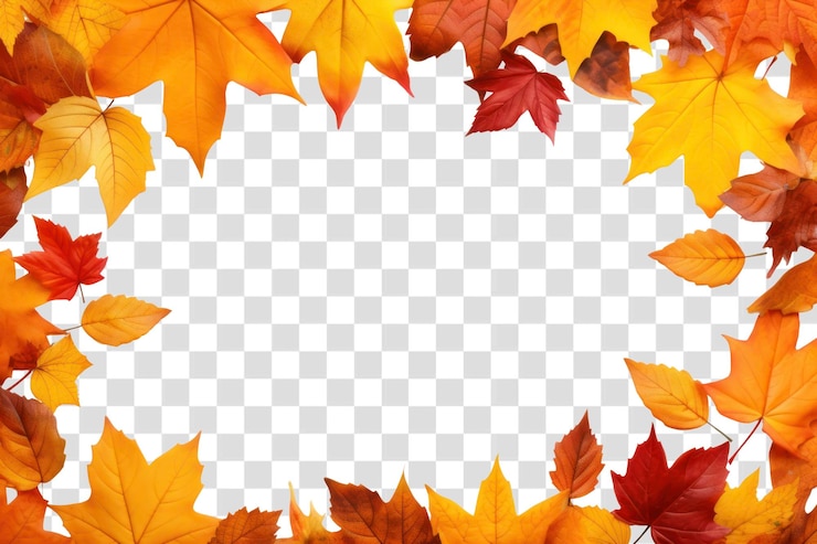 PSD png frame of autumn leaves sfondo foglie d'autunno