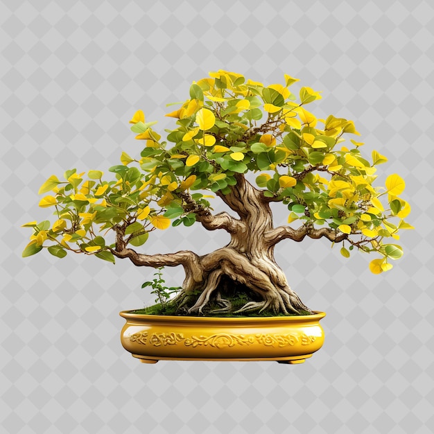 PSD png ginkgo bonsai árbol de piedra en forma de olla hojas en forma de abanico resiliencia co decoración de árboles diversos transparentes