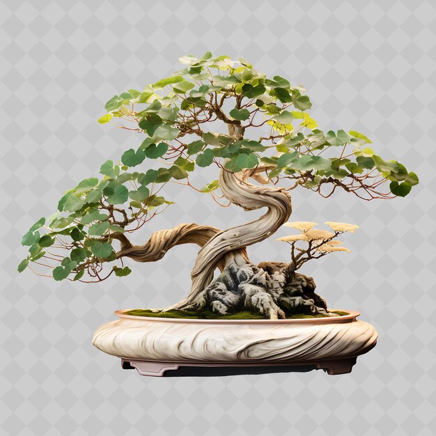 Png ginkgo bonsai marble pot hojas en forma de abanico tranquilidad y l decoración de árboles diversos transparentes