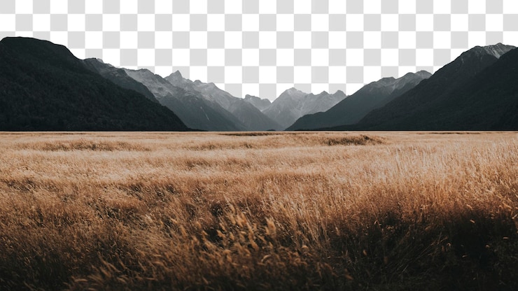 PSD png grassland a milford sound nuova zelanda elemento collage sfondo trasparente
