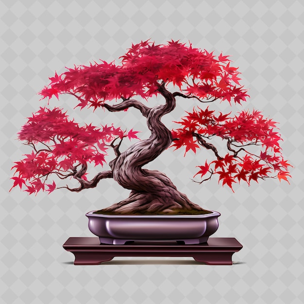 PSD png maple bonsai arbre porcelaine pot palmeraie feuilles crimson thème transparent décor d'arbres divers