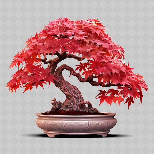 PSD png maple bonsai arbre porcelaine pot palmeraie feuilles crimson thème transparent décor d'arbres divers