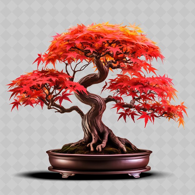 Png Maple Bonsai Tree Pot En Bois à Feuilles Lobées Décor D'arbres Divers Transparents Inspirés De L'automne