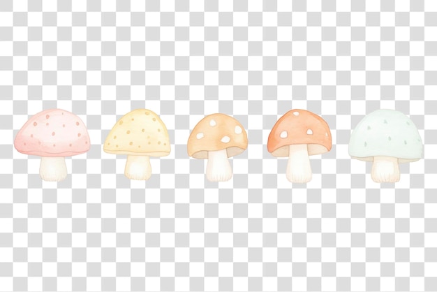 png mushroom as divider watercolor fungus agaric plant