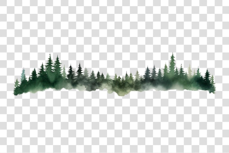 PSD png naturwald im freien waldland