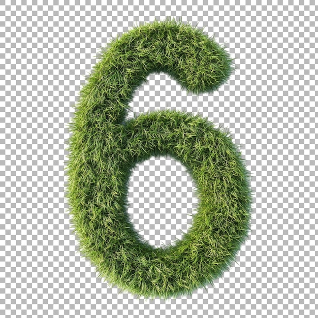 Png Nummer 6 im Grasstil isoliert gegen einen durchsichtigen Hintergrund für Naturdesigns Frische Branding- oder umweltfreundliche Typografie-Anwendungen