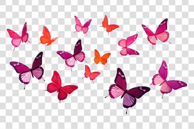 PNG papillons art des insectes papillons