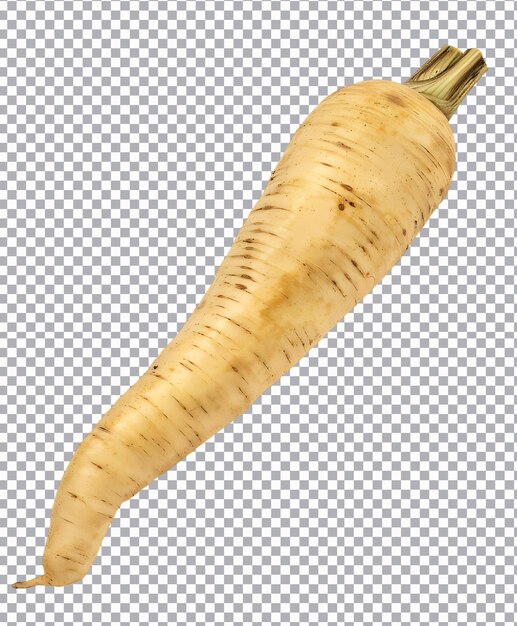Png de parsnip frais isolé sur un fond transparent