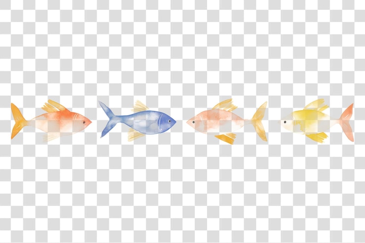 PSD png peixes como divisor aquarela animais vida marinha