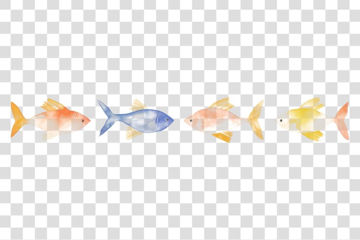 PSD png pesci come divisore acquerello animali vita marina