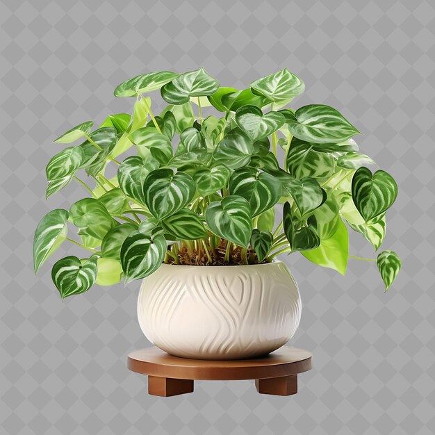 PSD png plantas de dinero en una olla de cerámica en soporte de madera con color natu árbol interior en fondo limpio