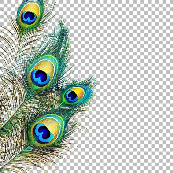 PSD png plumas de pavo real invitación hindú contra un fondo transparente