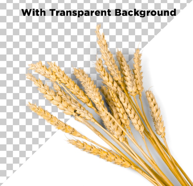 PNG-PSD-Transparenter Hintergrund