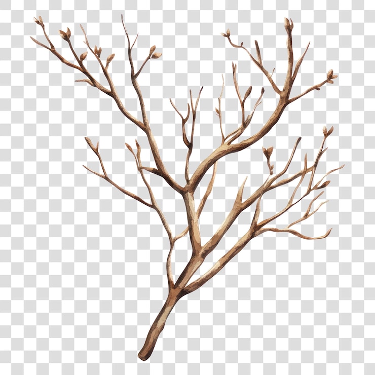 PSD png rami secchi arte illustrazione albero