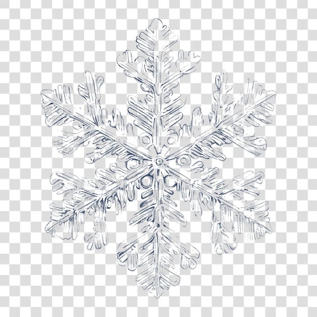 PNG Snowflake illustration decoration intricate