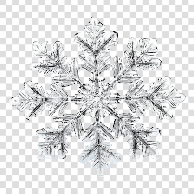 PNG Snowflake snowflake white chandelier