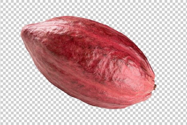 Png trasparente del fondo della frutta del cacao