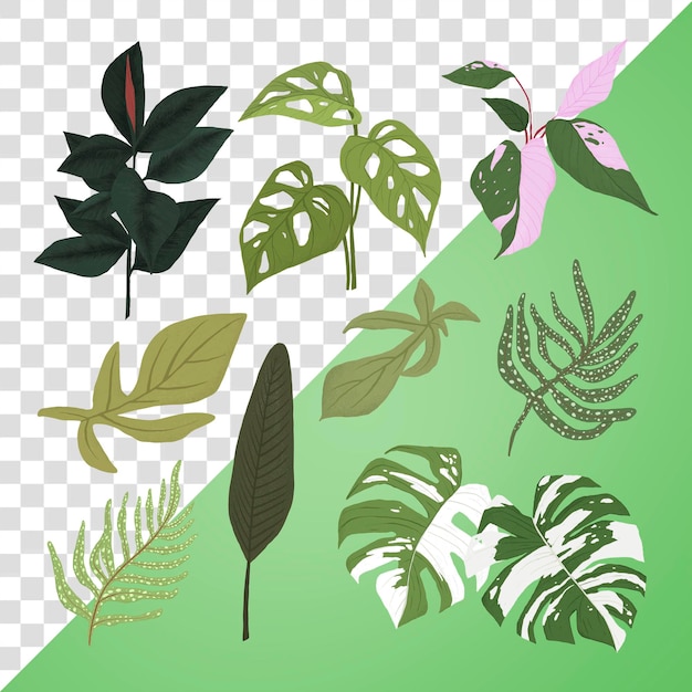 PNG tropische Blatt-Aufkleber Pflanze botanische Illustrations-Set