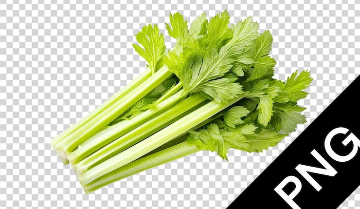 PSD pngsseomneil (en inglés)