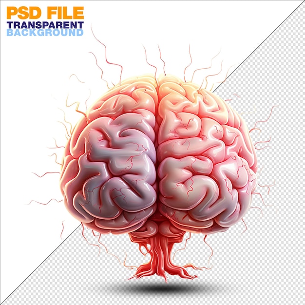 Poder positivo realístico do cérebro em fundo transparente