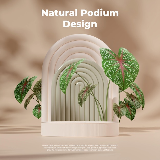 Podio blanco de plantilla de representación 3d en cuadrado con fondo de arco verde y calathea verde rosa