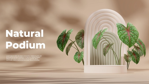 Podio blanco de la plantilla de representación 3d en el paisaje con fondo de arco verde y calathea verde rosa