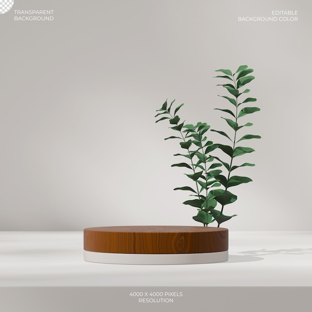 el podio de cilindro de grano de madera en planta verde cuadrada imagen 3d renderizado de fondo transparente