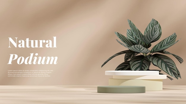 Pódio de gradiente verde na paisagem com listra rosa calathea house plant 3d renderização cena de maquete