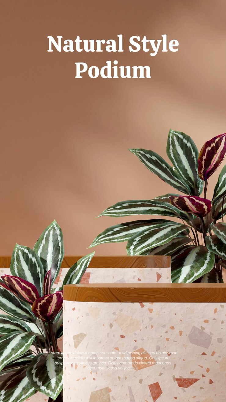 PSD podio de madera y terrazo de espacio vacío en pared marrón vertical y planta de calathea imagen de presentación 3d