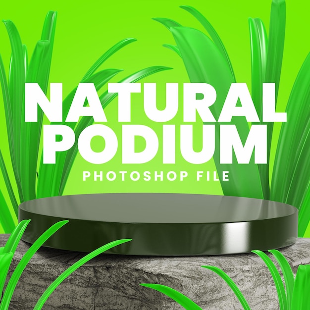 Podium naturel de rendu 3D avec des pierres et des feuilles