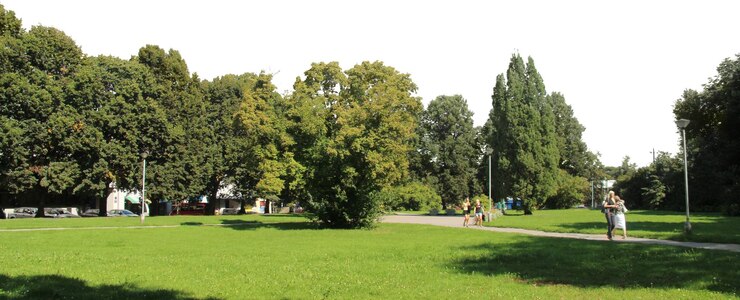 PSD pohon alami dan lanskap taman dengan padang rumput terbuka dan pemandangan pedesaan