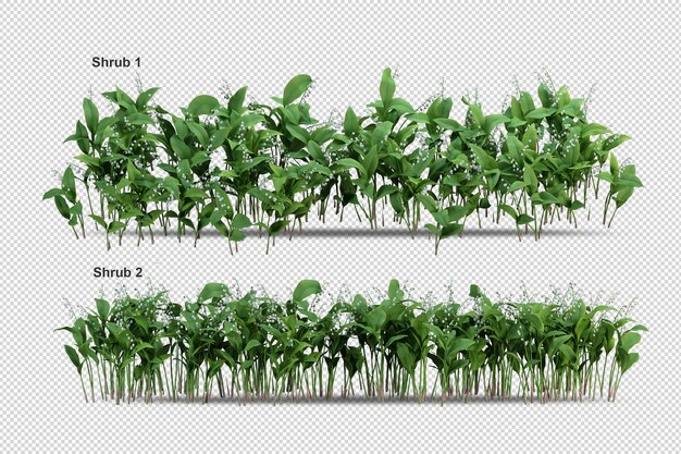 Pohon dan bunga tropis rendering terisolasi