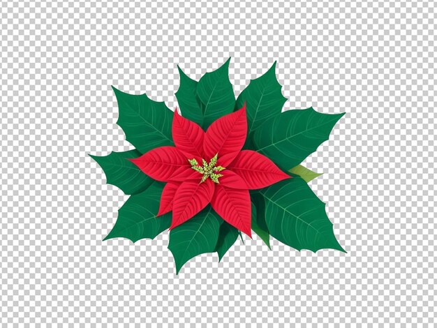 Poinsettia Avec Une Illustration De Feuille Verte