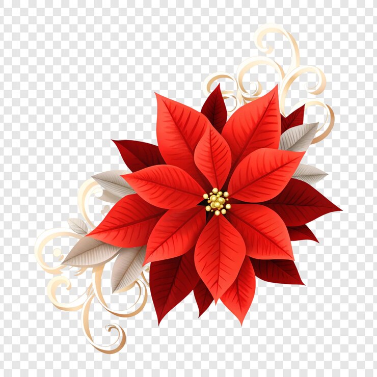 PSD poinsettia de navidad