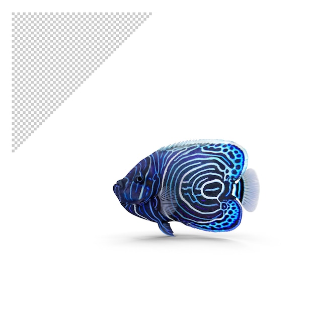 PSD poisson ange png