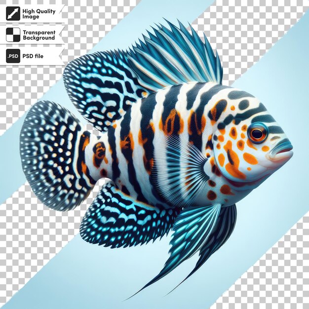 PSD poisson cichlid africain psd sur fond transparent avec couche de masque modifiable