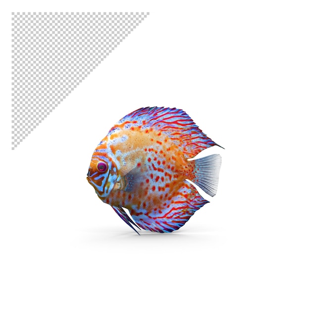 PSD poisson discus png