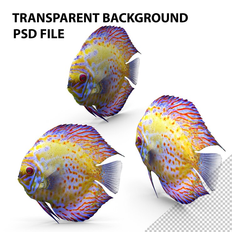 PSD poisson discus png