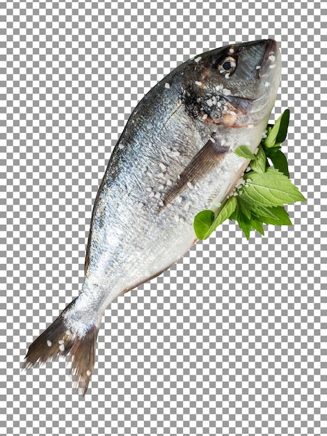 PSD un poisson avec une feuille sur fond transparent