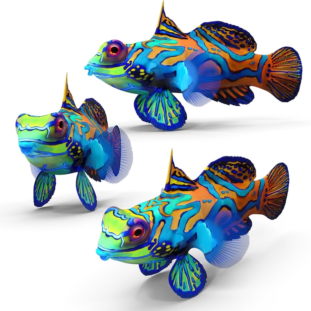 PSD poisson mandarine png