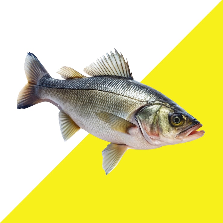 PSD un poisson qui a un fond jaune qui dit " poisson "