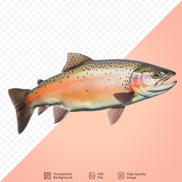 PSD un poisson avec une truite brune dessus