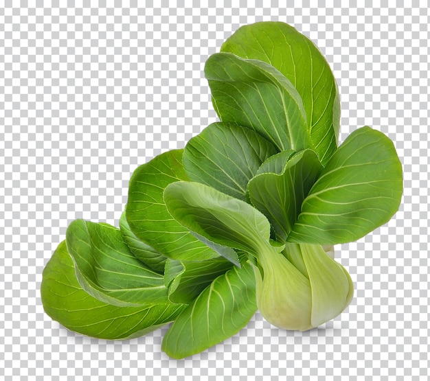 Pok choi isolado premium psd