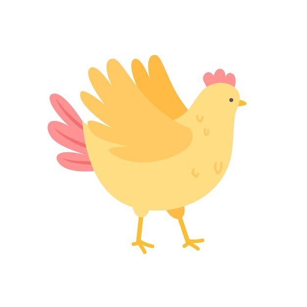 Pollo a disegno piatto isolato
