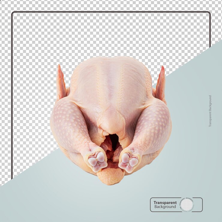 PSD pollo crudo fresco entero disponible para asar y preparar comidas