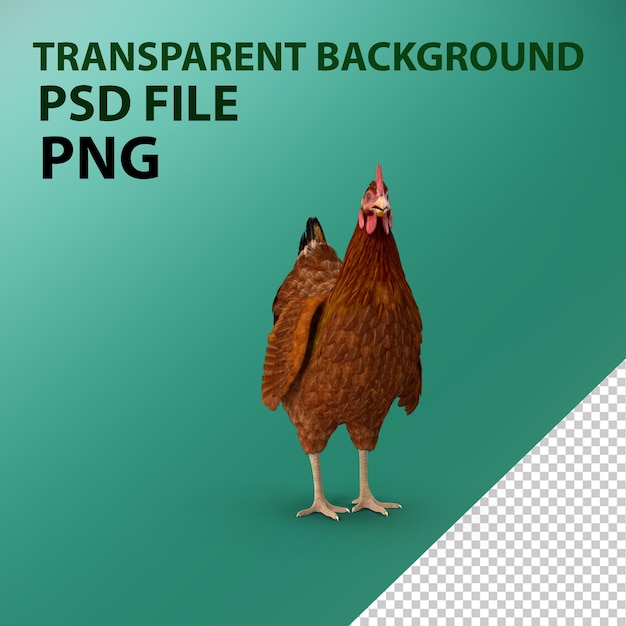 pollo marrone PNG