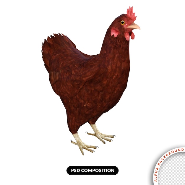 Pollo renderizado 3d premium psd